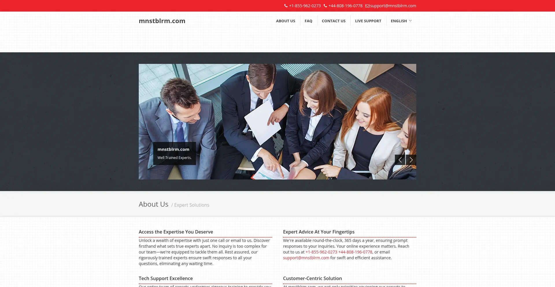 Website screenshot of Mnstblrm.com