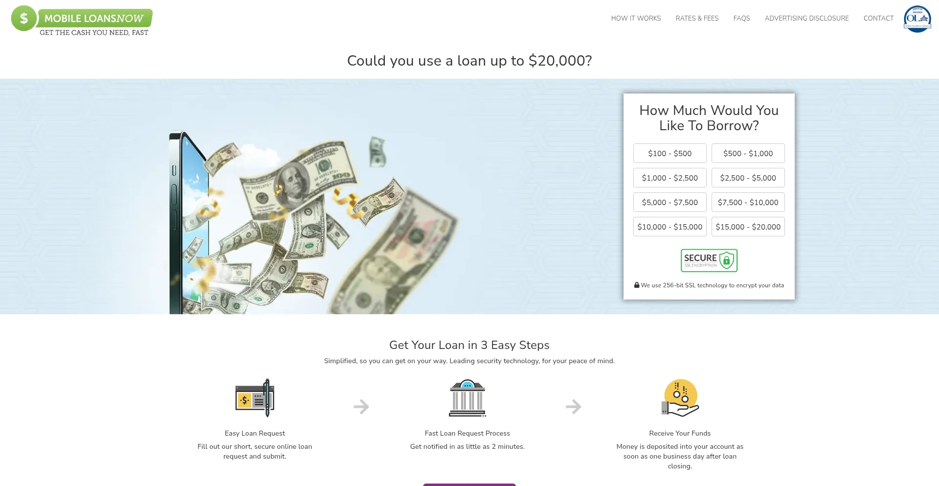 Website screenshot of Mobileloansnow.com