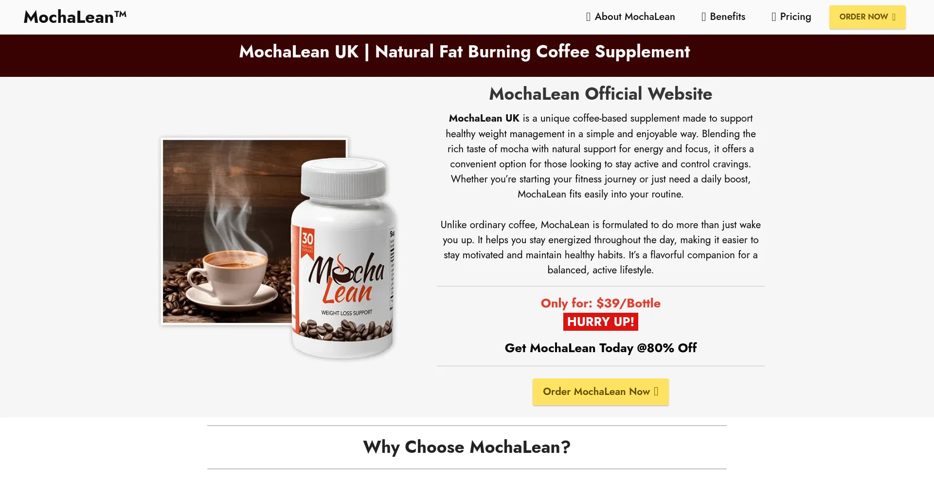 Website screenshot of Mochalean.co.uk