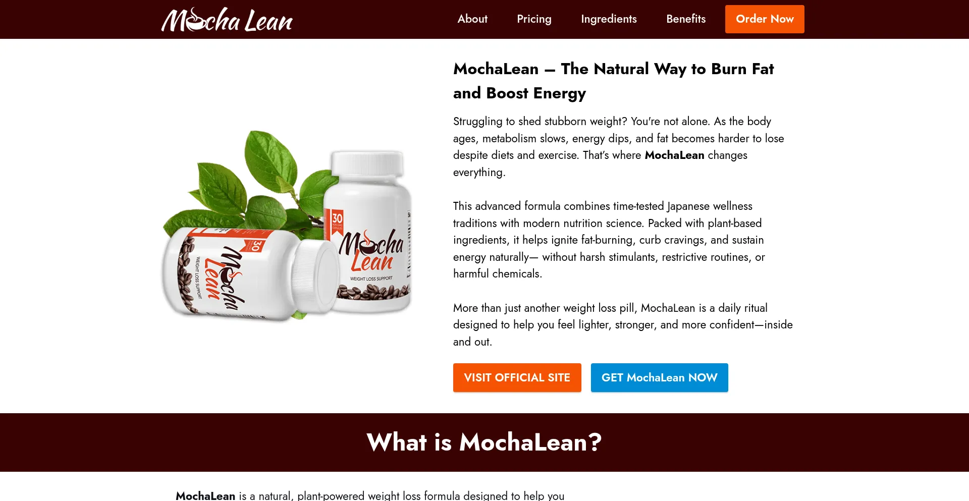 Is Mochalen.com Safe?