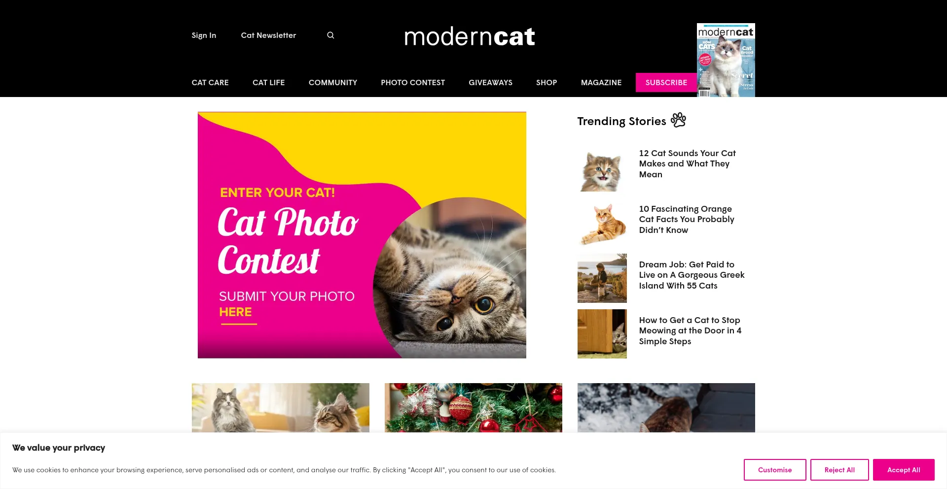 Moderncat.com