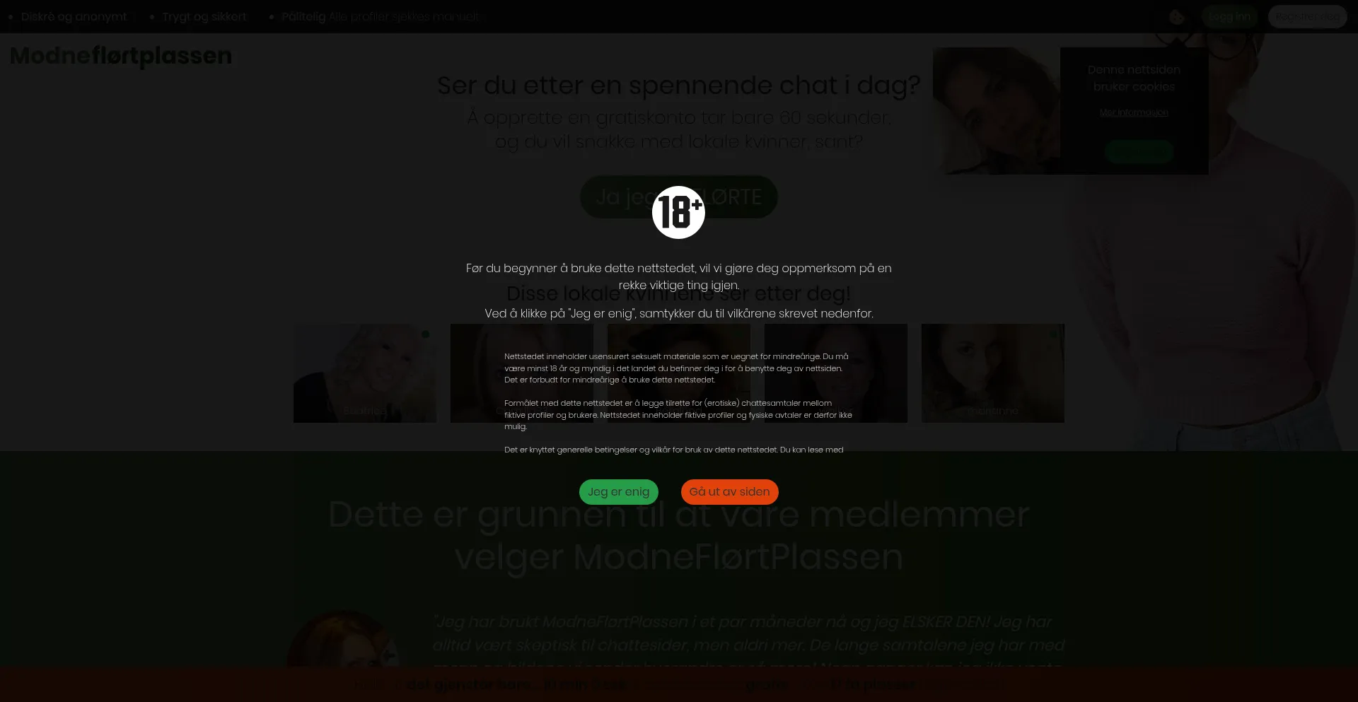 Website screenshot of Modneflortplassen.com