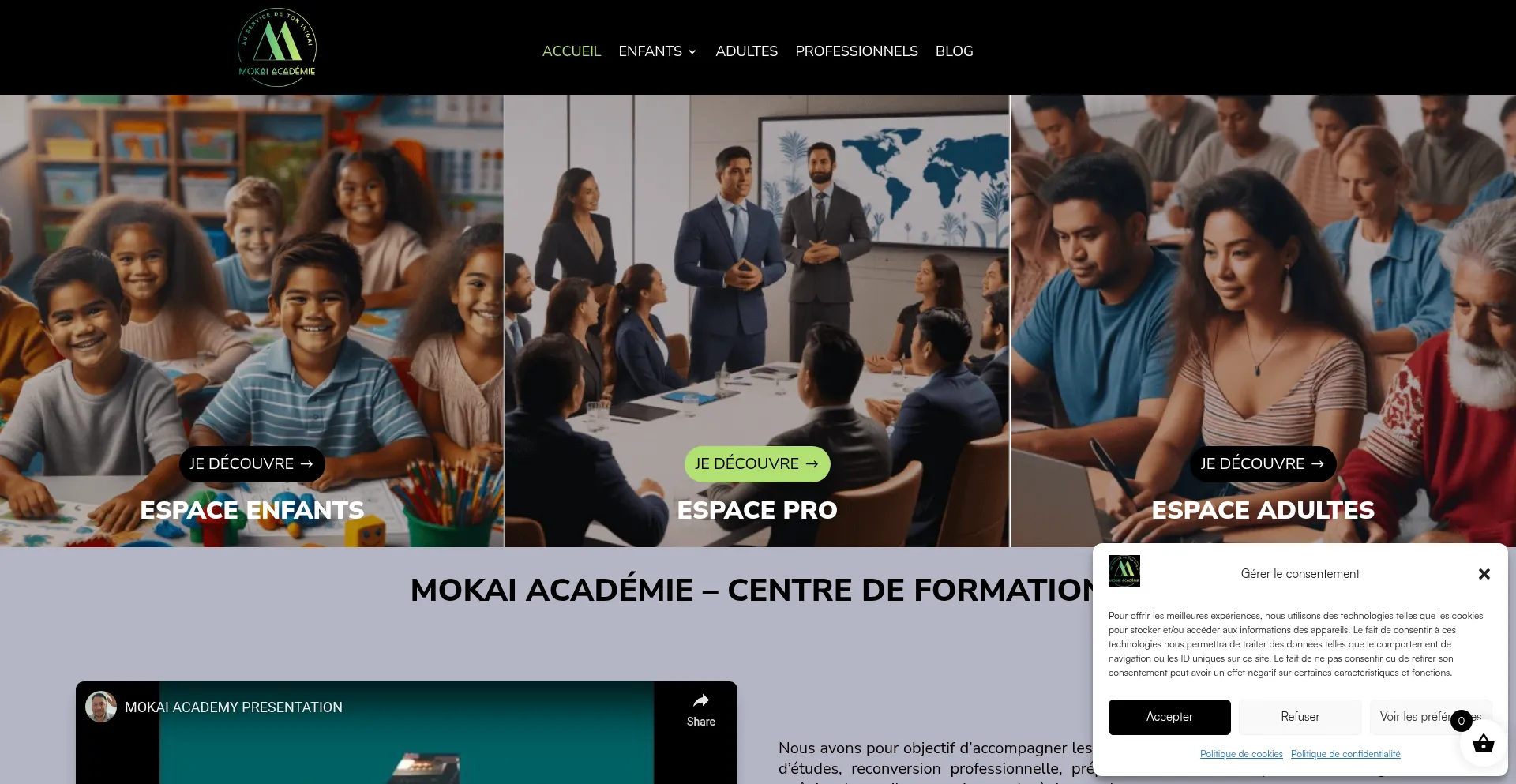 Website screenshot of Mokai-academy.com