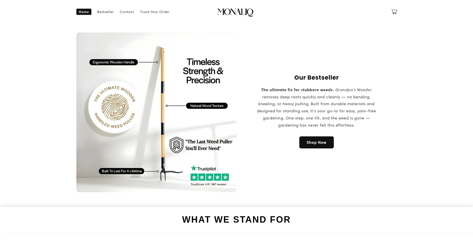 Website screenshot of Monaliq.com