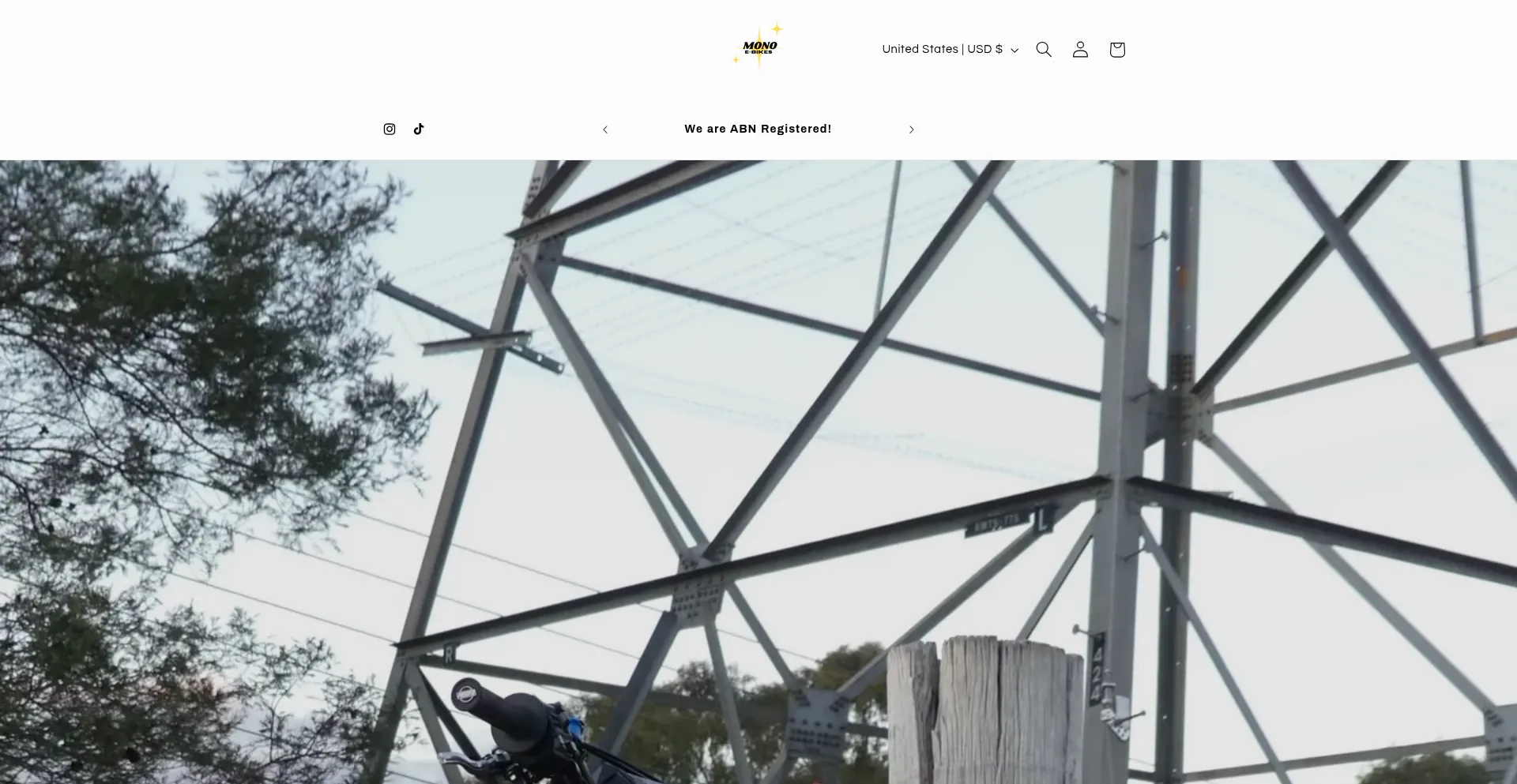Website screenshot of Monoebikes.com