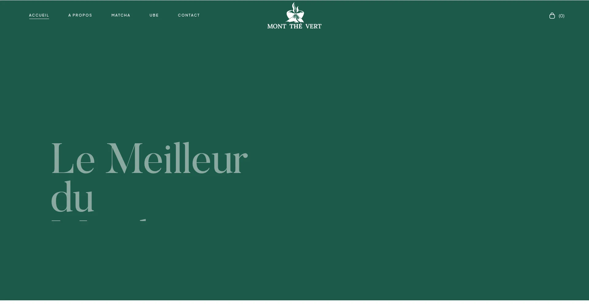 Mont-the-vert.com Screenshot