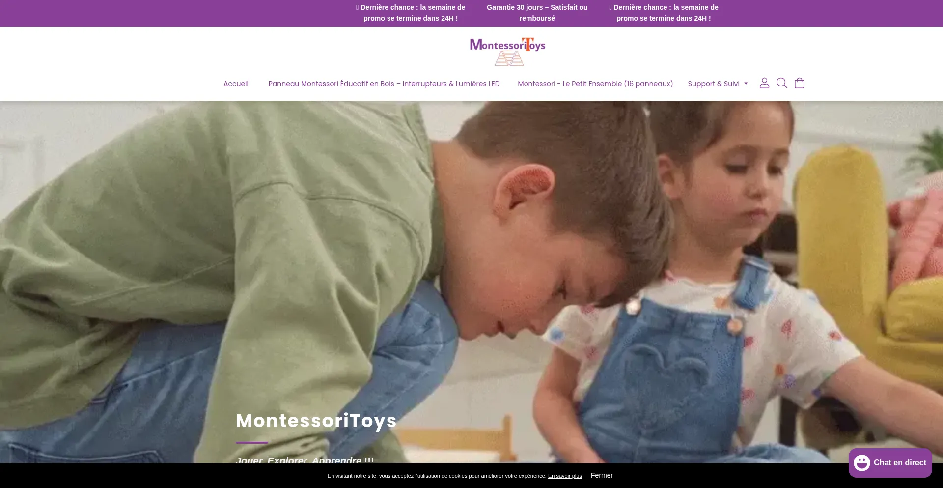 Montessoritoyss.com Screenshot