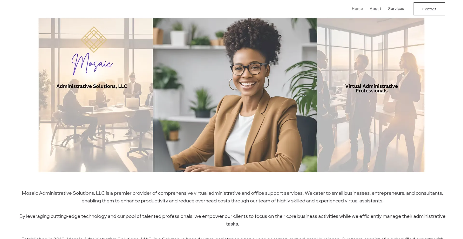 Website screenshot of Mosaicadminsolutions.com