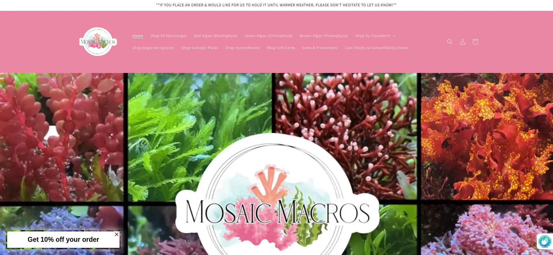 Mosaicmacros.com