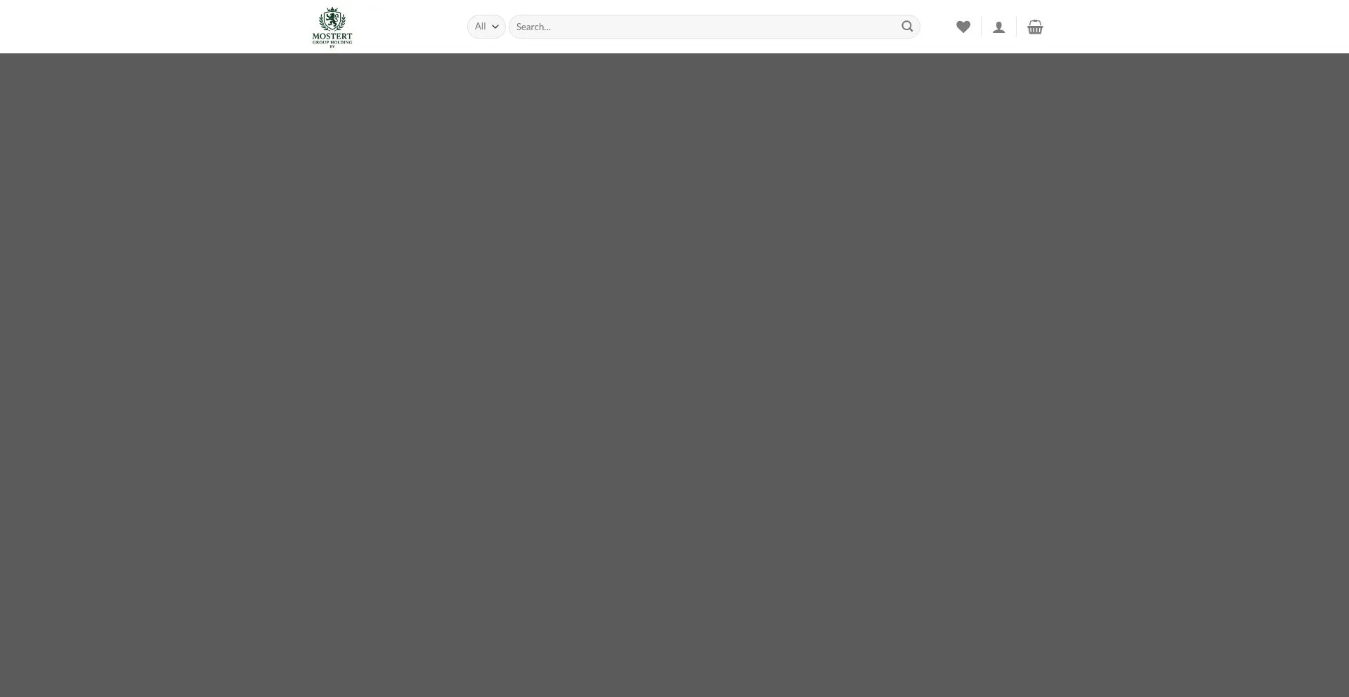 Website screenshot of Mostertgroupholdingbv.nl