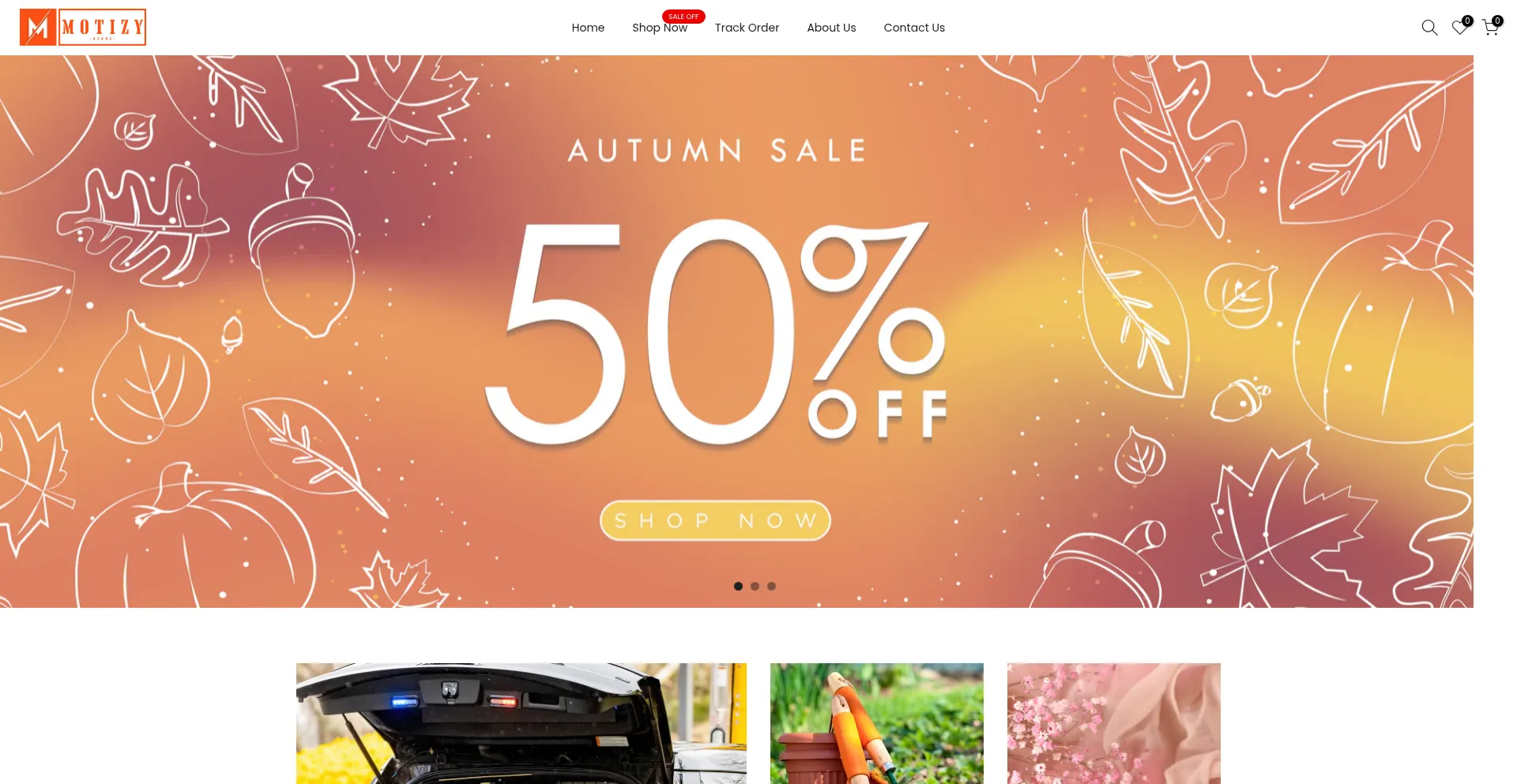 Website screenshot of Motizy.com
