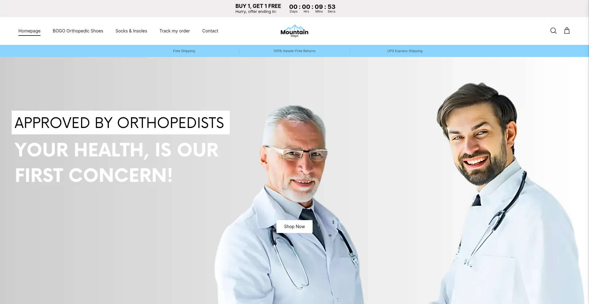 Website screenshot of Mountain-steps.com