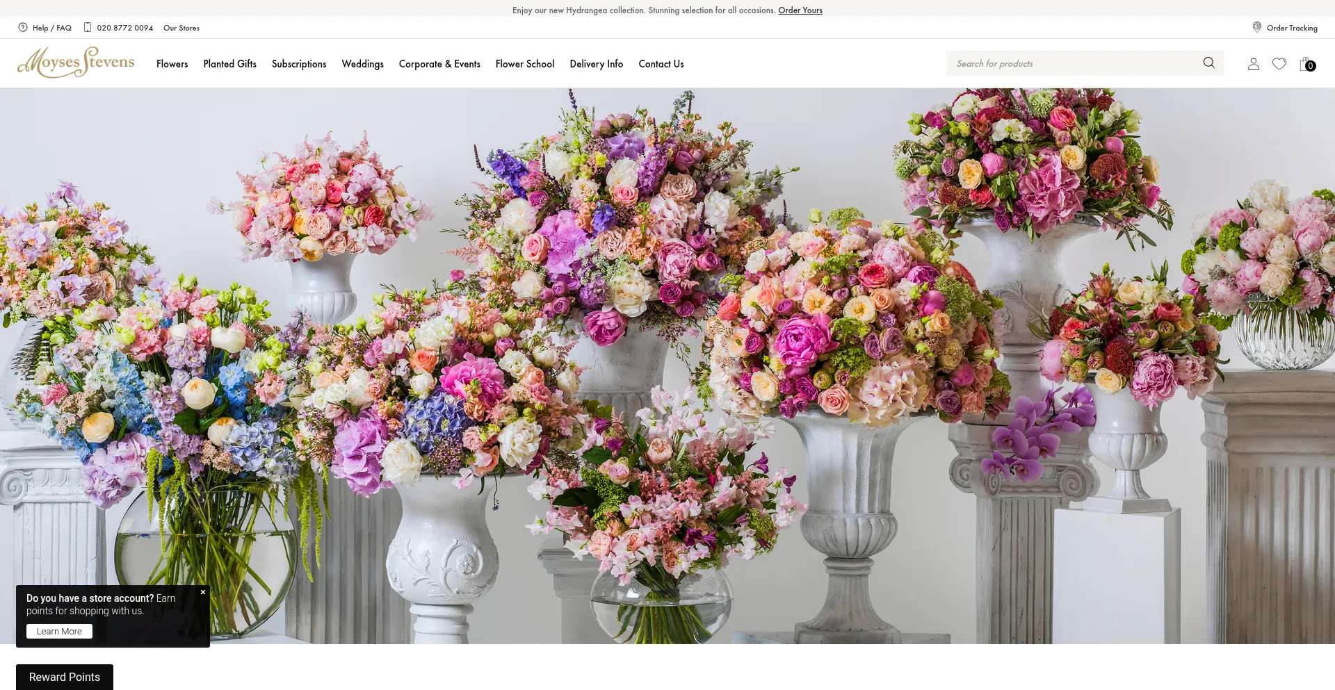 Moysesflowers.co.uk Screenshot