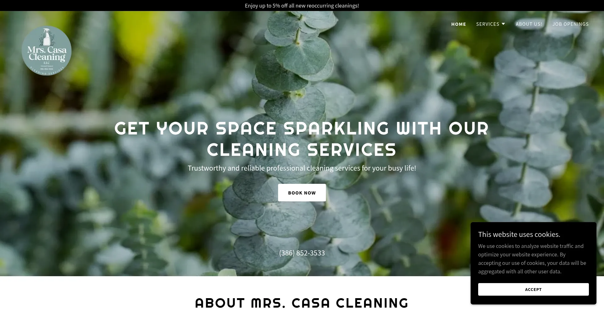 Mrscasacleaning.com