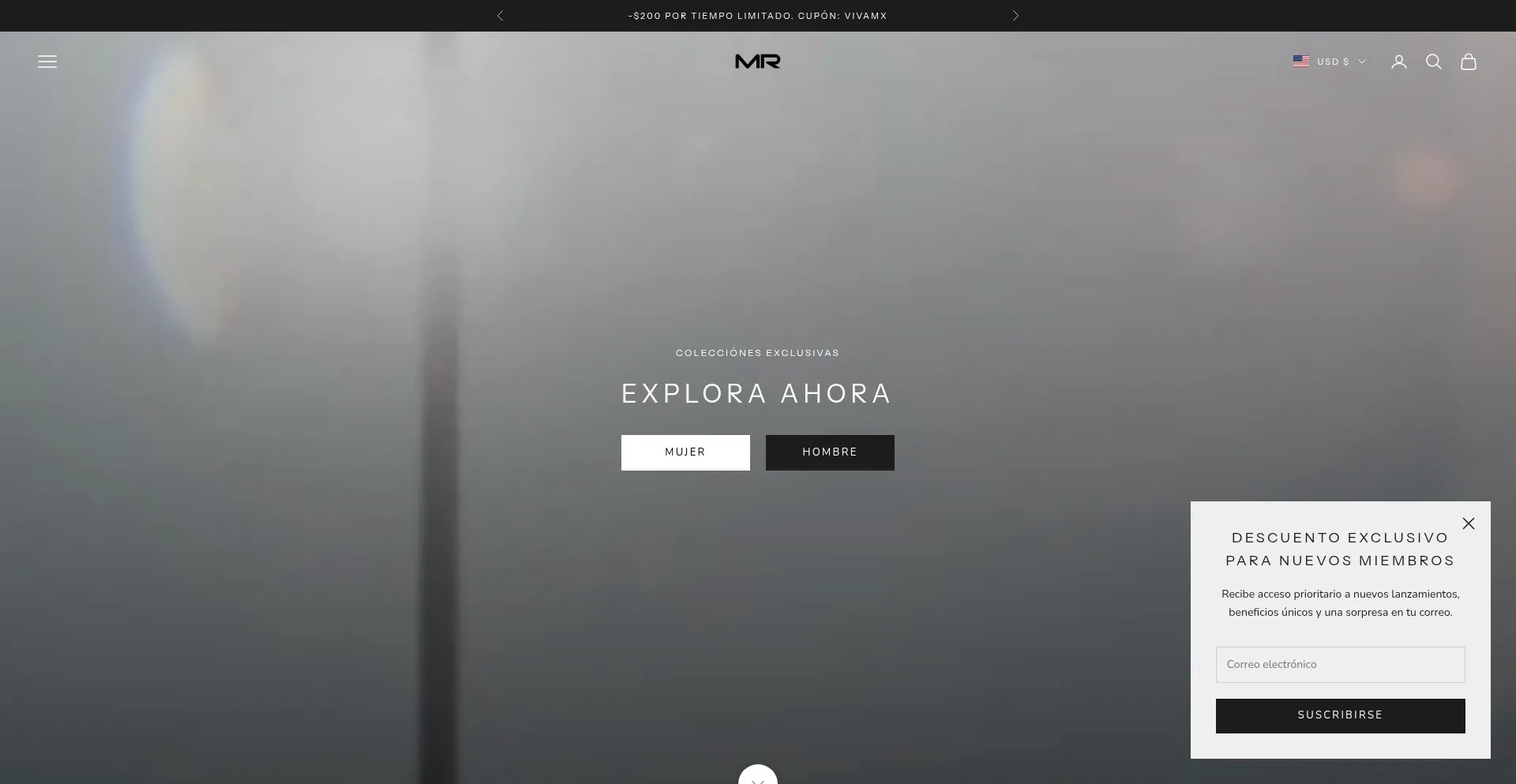 Website screenshot of Mrshoesaccessories.com