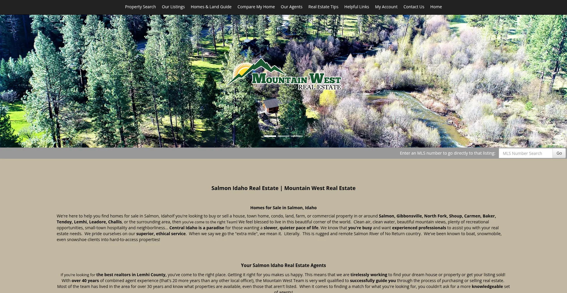 Website screenshot of Mtnwestrealestate.com