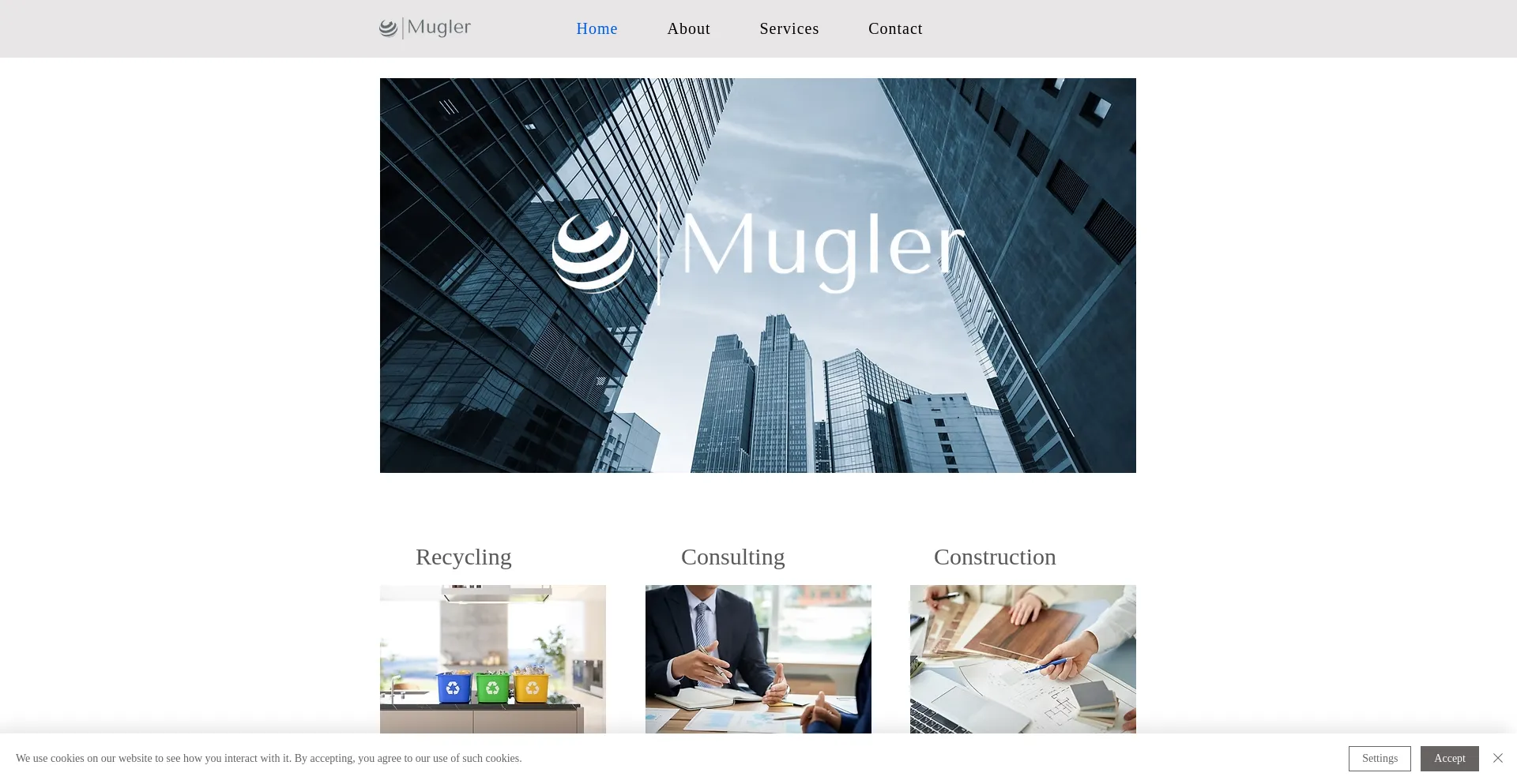 Website screenshot of Muglerinvestments.com
