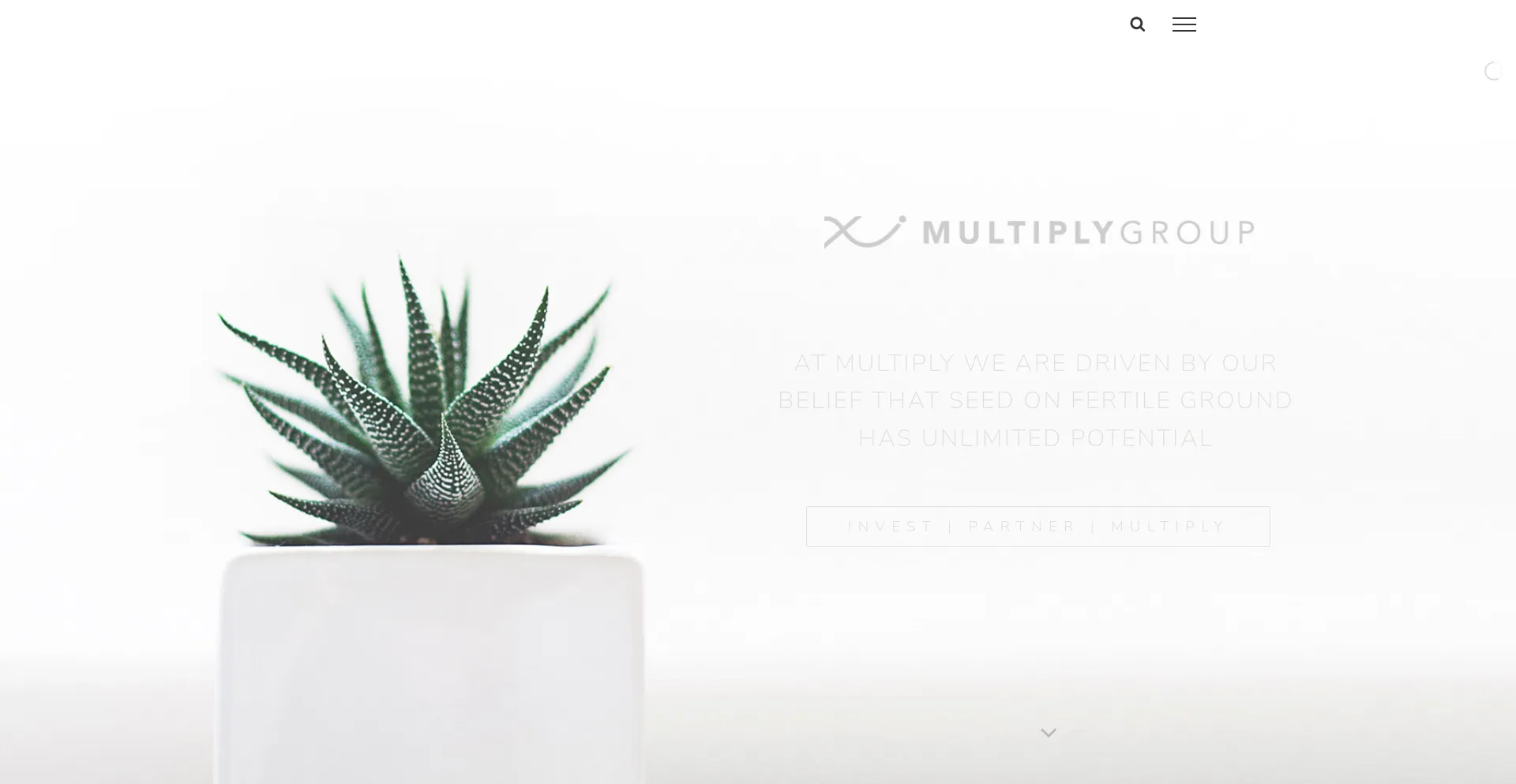 Website screenshot of Multiplyinvest.com