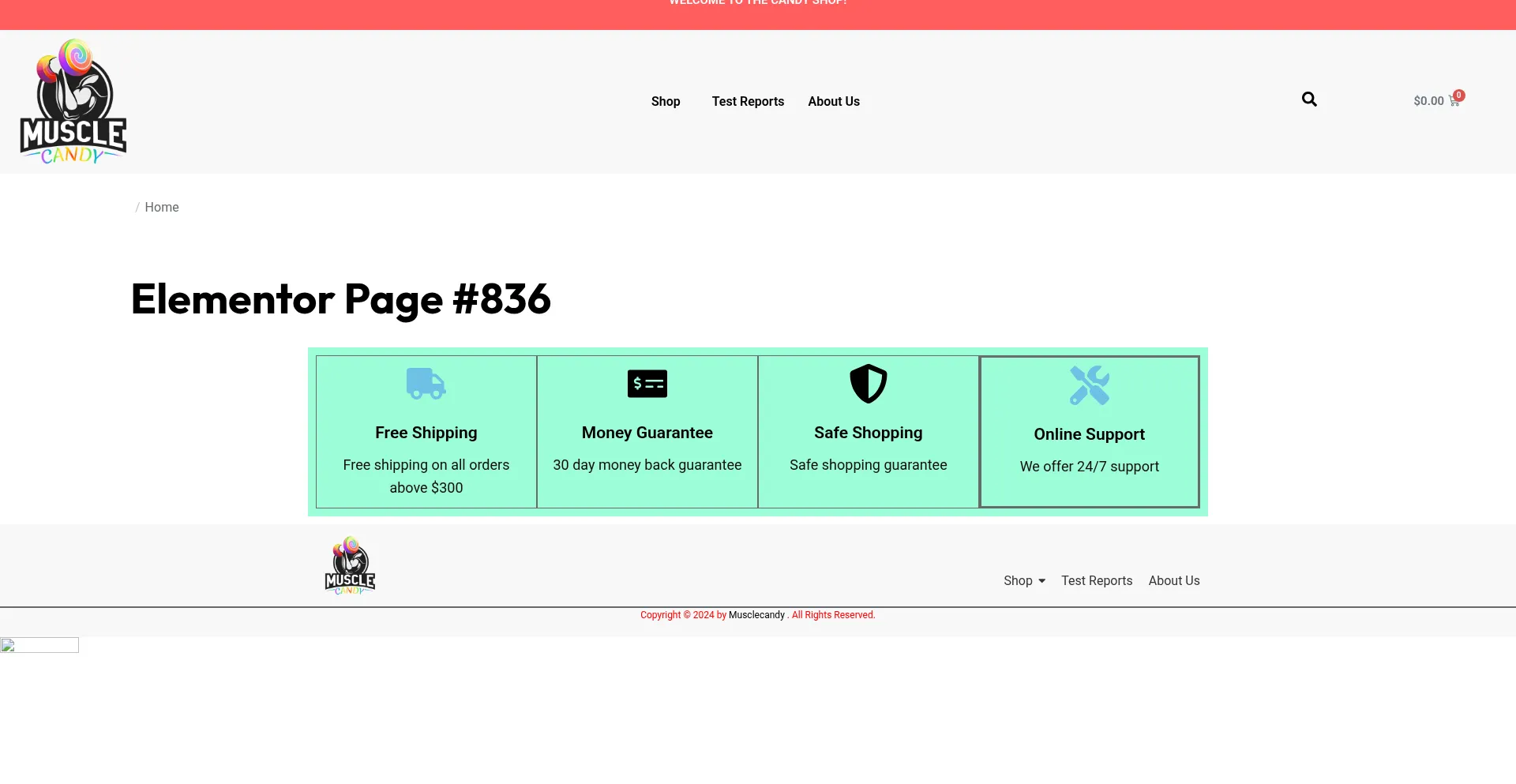 Website screenshot of Musclecandy.us