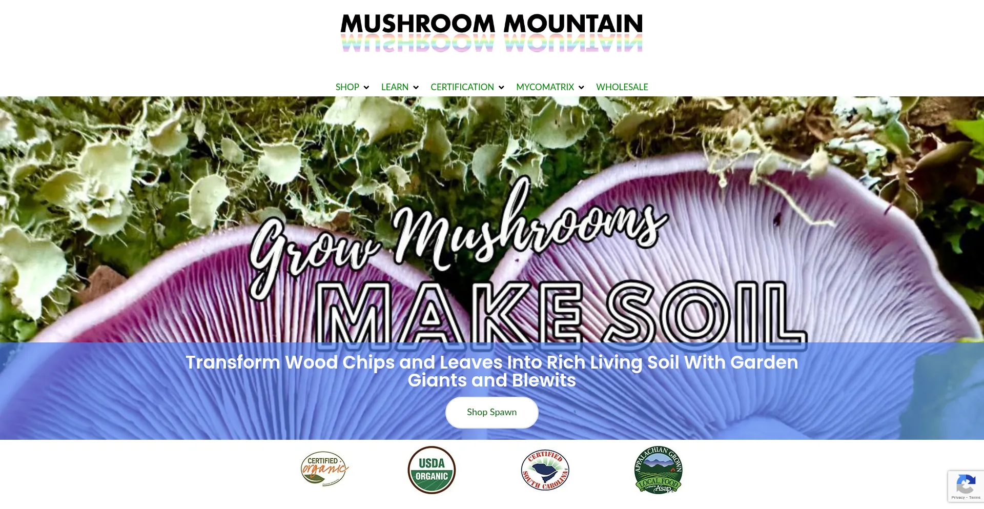 Mushroommountain.com