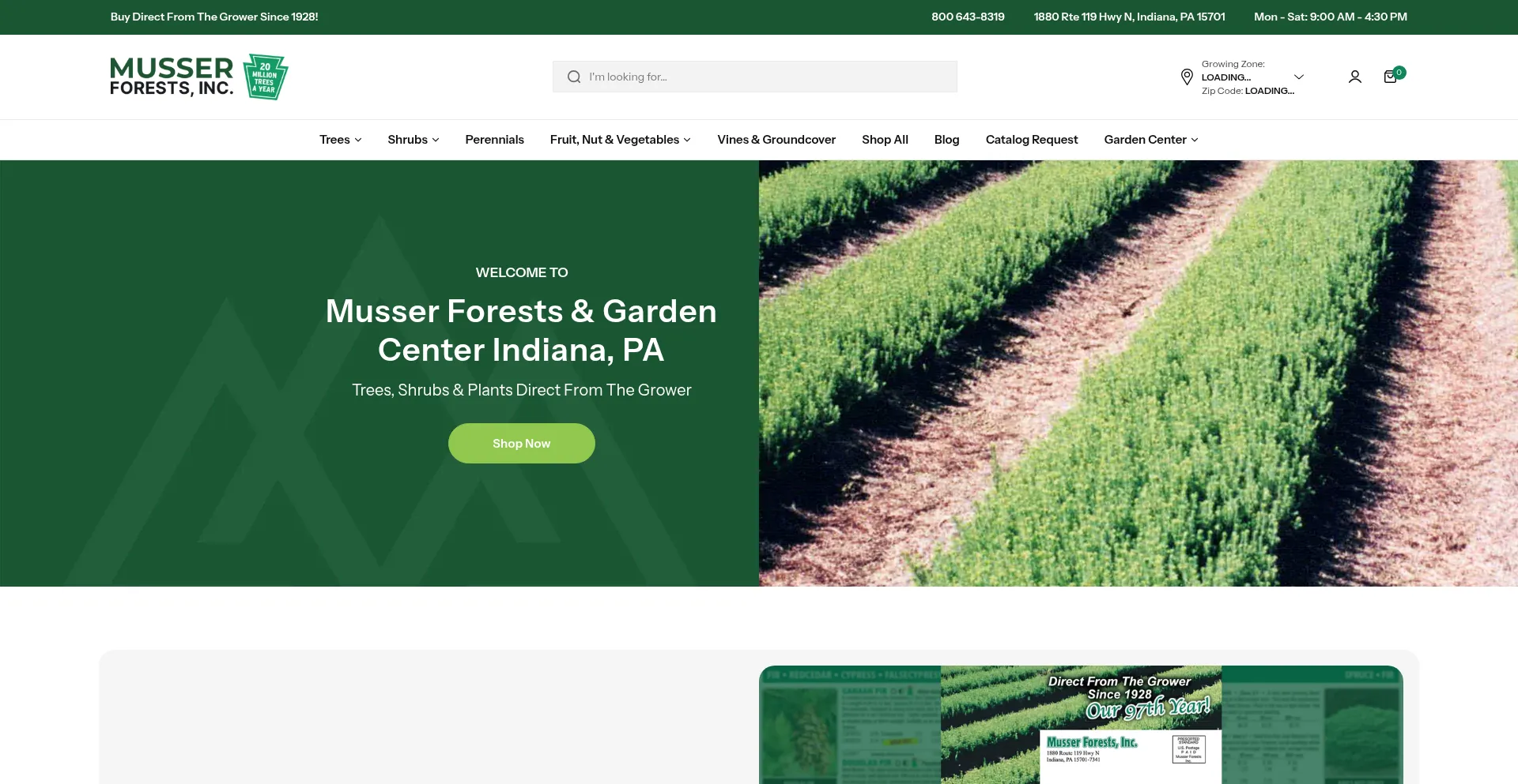 Website screenshot of Musserforests.com