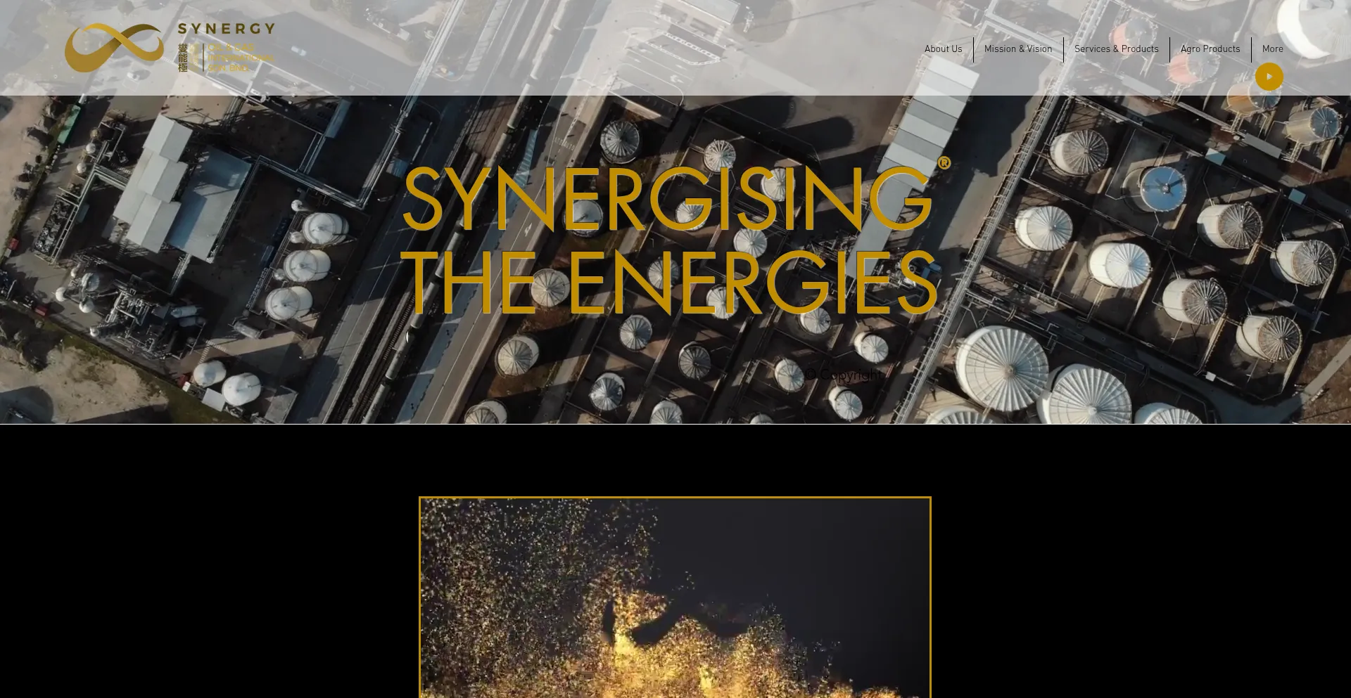 Website screenshot of My-synergy.co