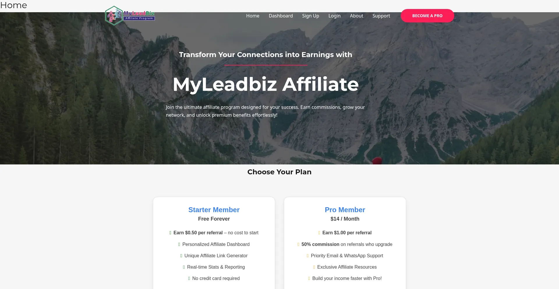 Website screenshot of Myleadbiz.com