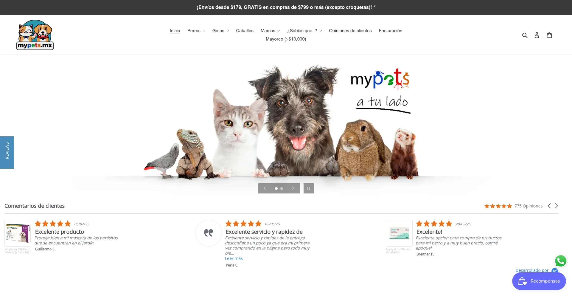 Website screenshot of Mypets.mx