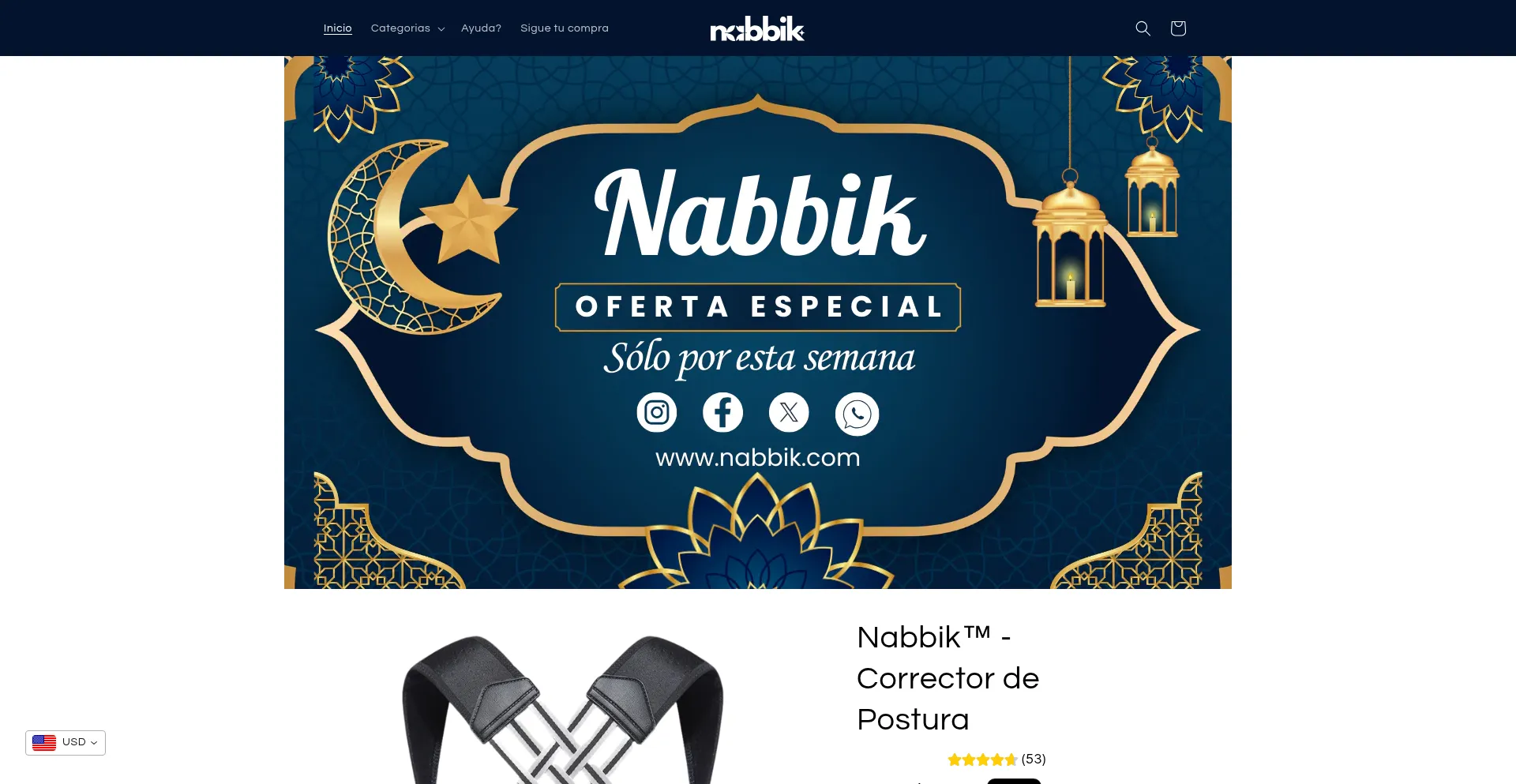 Website screenshot of Nabbik.com
