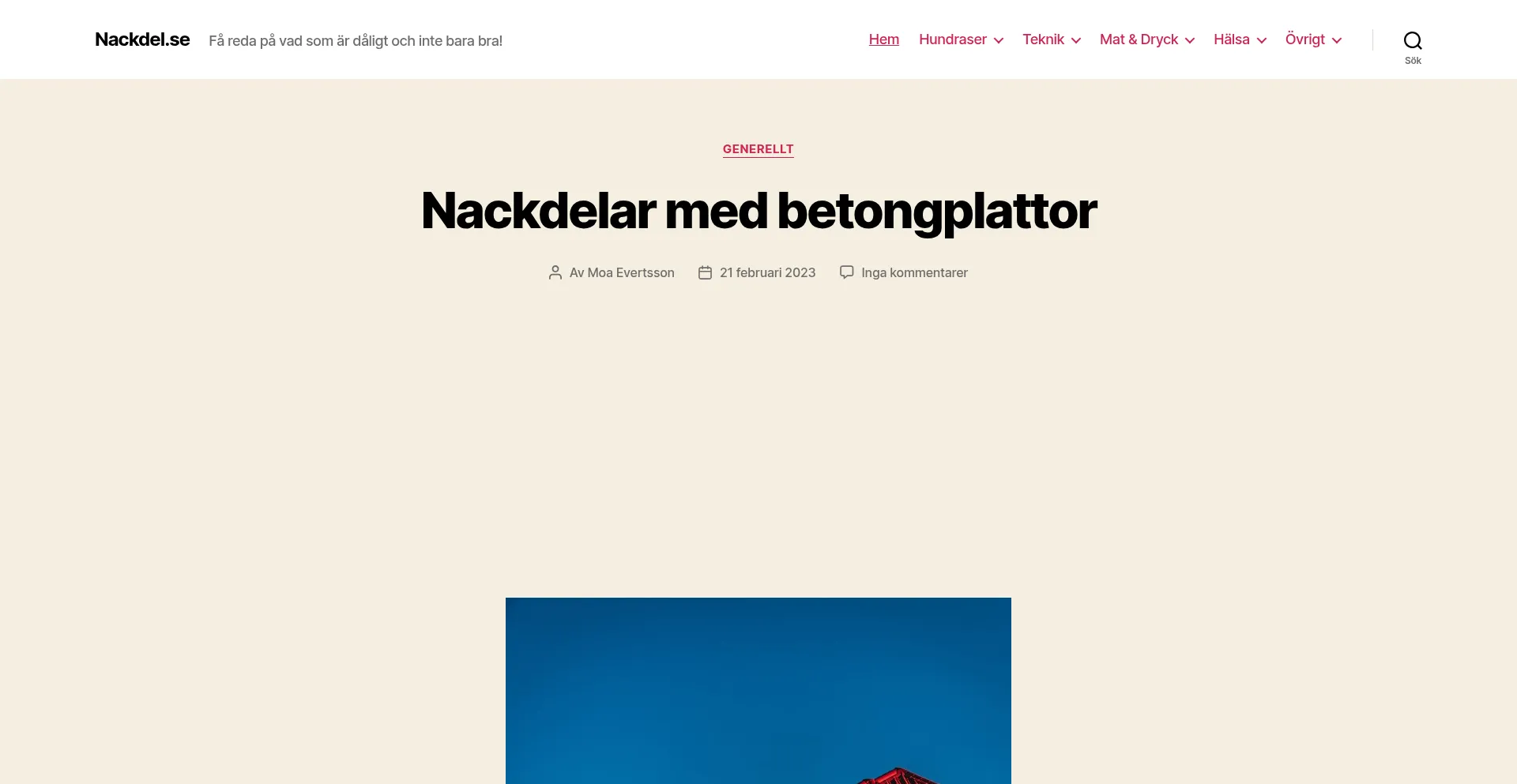 Website screenshot of Nackdel.se