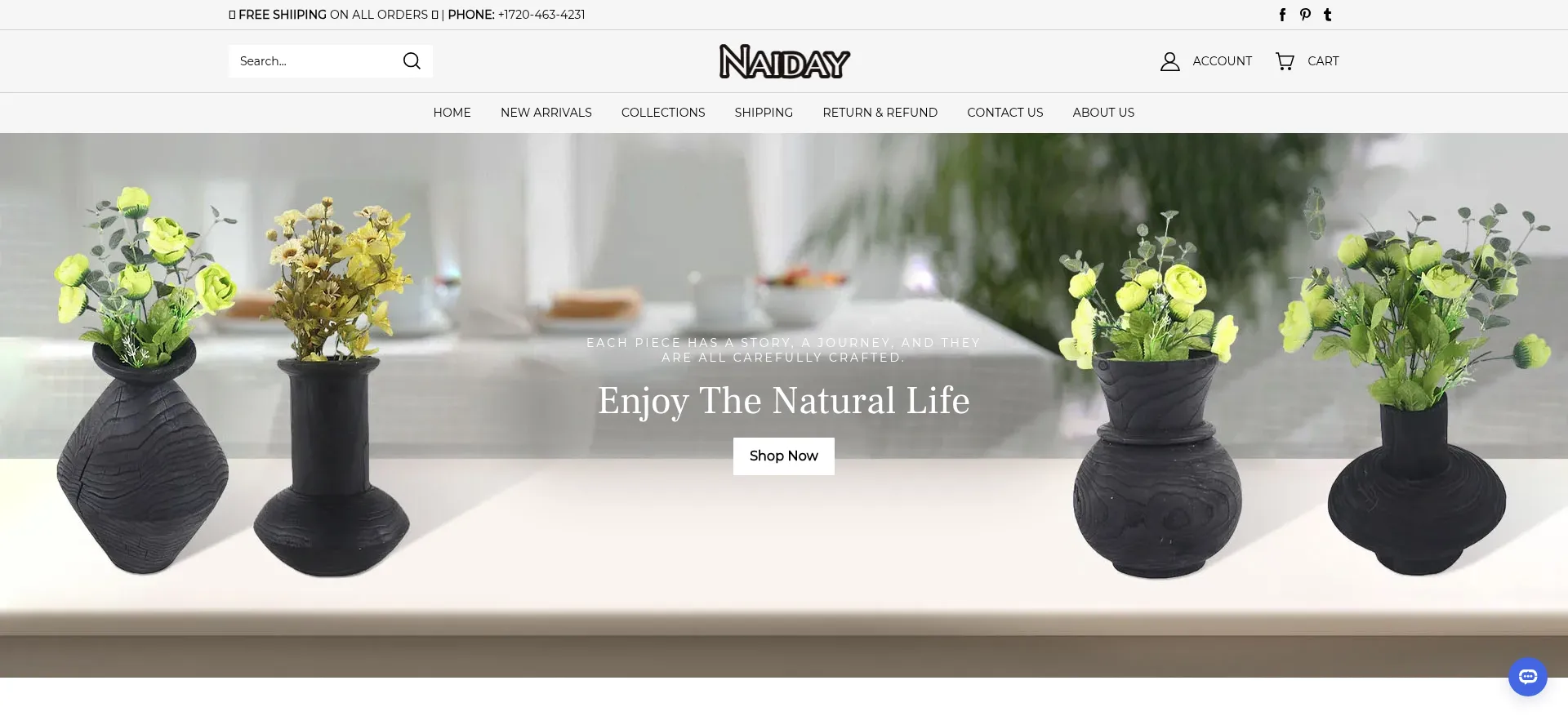 Website screenshot of Naiday.com