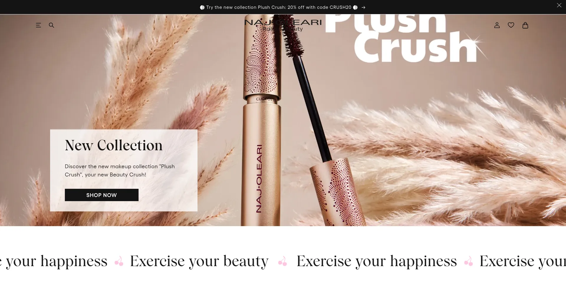 Najolearibeauty.com Screenshot