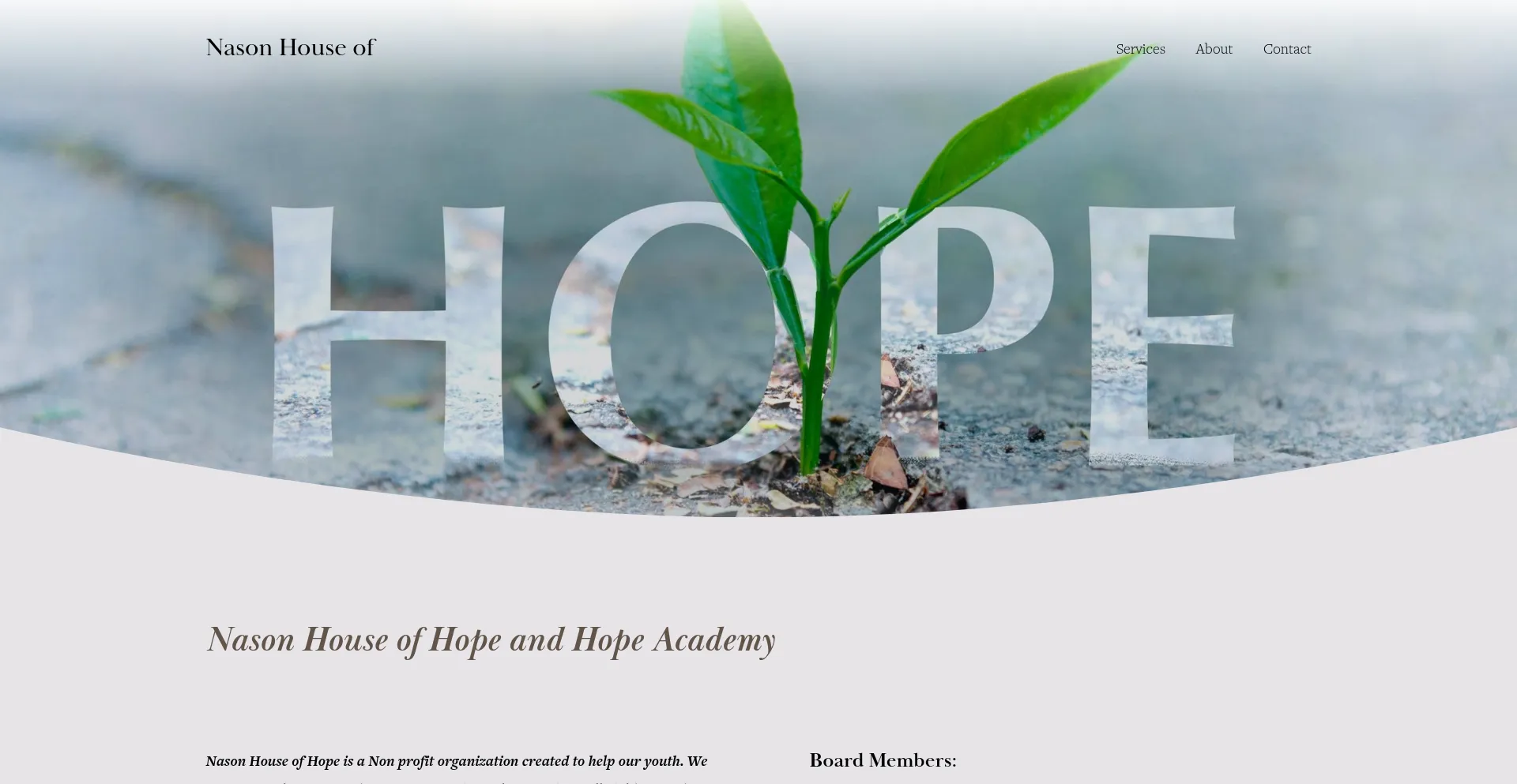 Website screenshot of Nasonhouseofhope.org