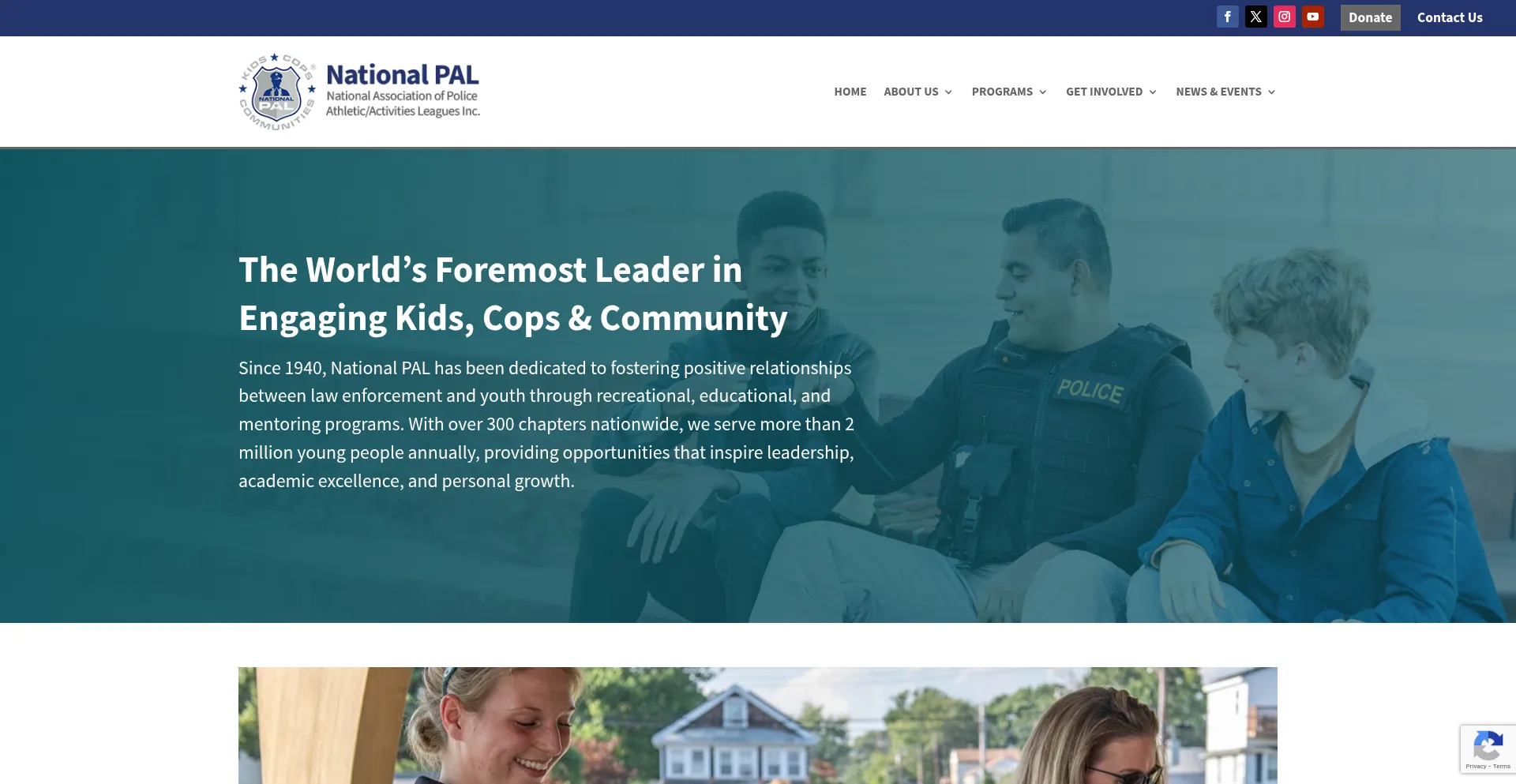 Website screenshot of Nationalpal.org