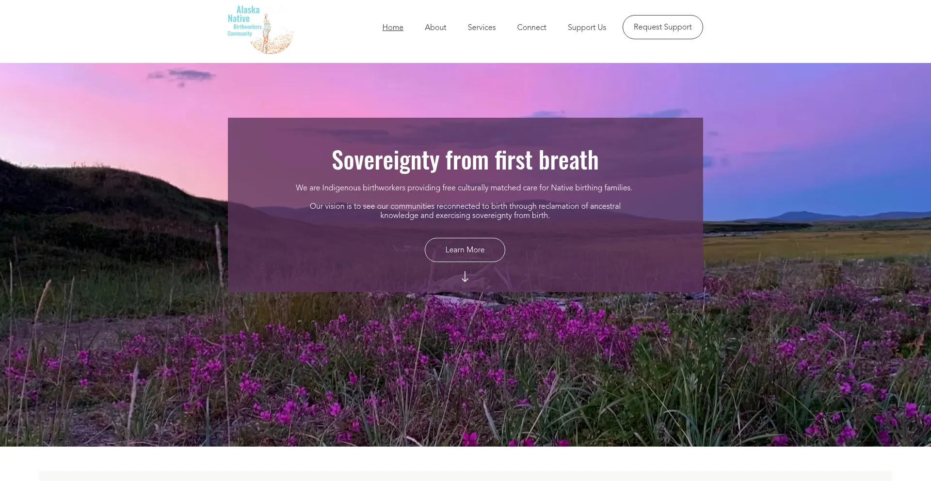 Nativebirthworkers.org