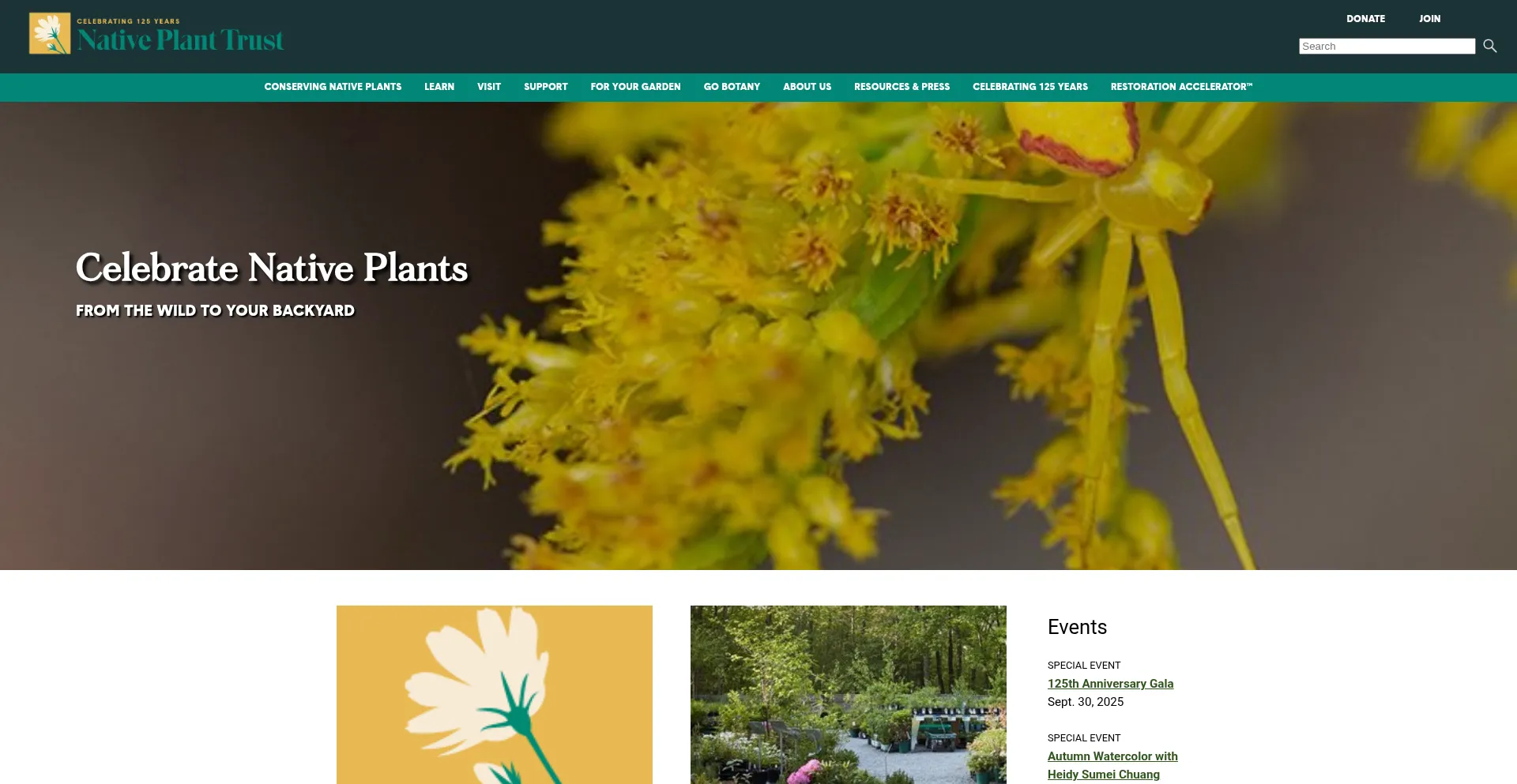 Is Nativeplanttrust.org Safe?