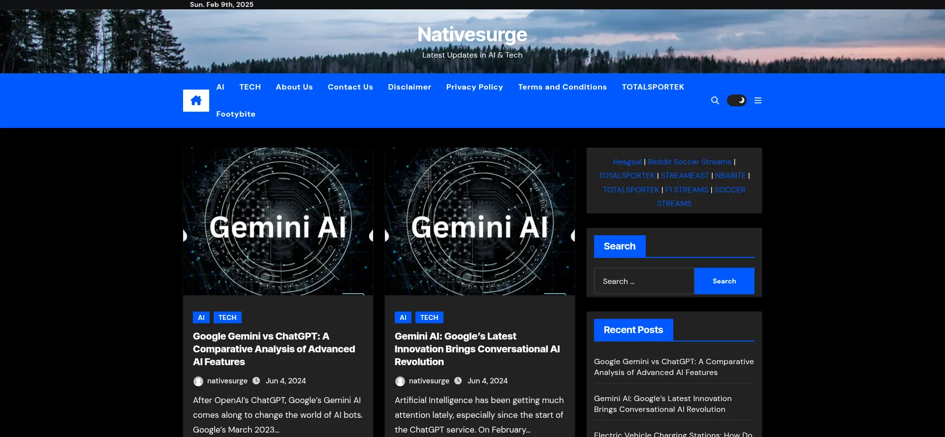 Website screenshot of Nativesurge.pro