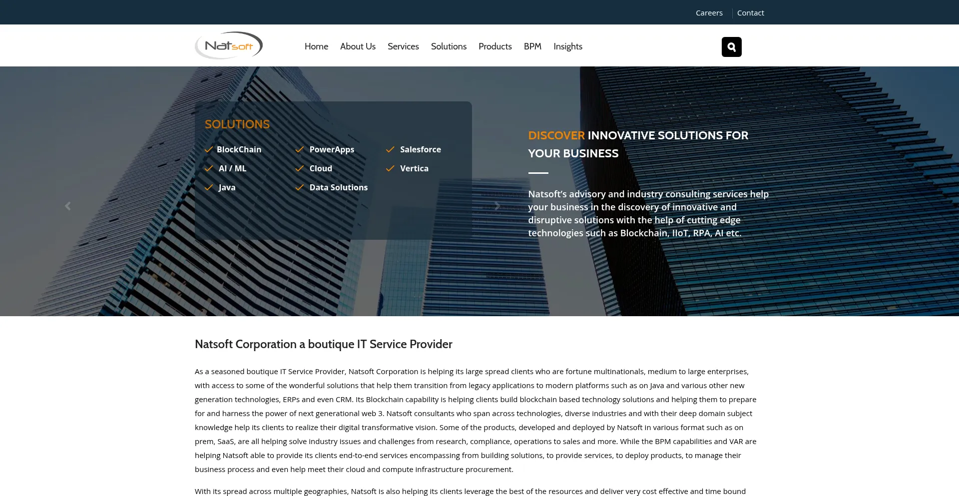 Website screenshot of Natsoft.us