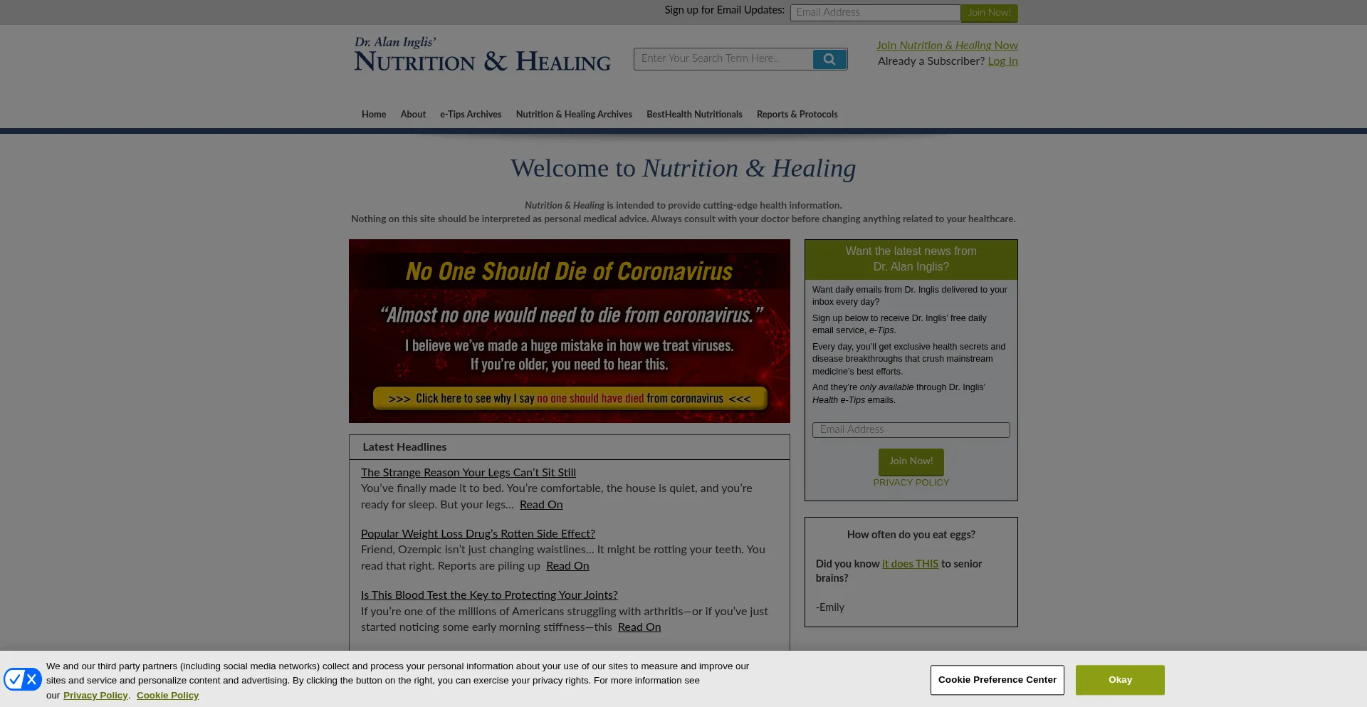 Website screenshot of Naturalhealthbook.com