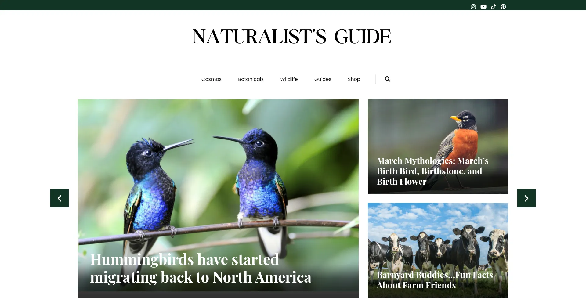 Naturalistsguide.com