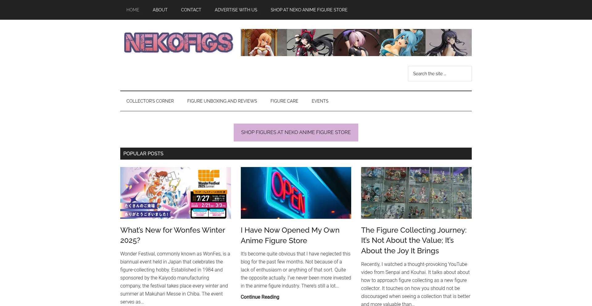 Is Nekofigs.com Safe?
