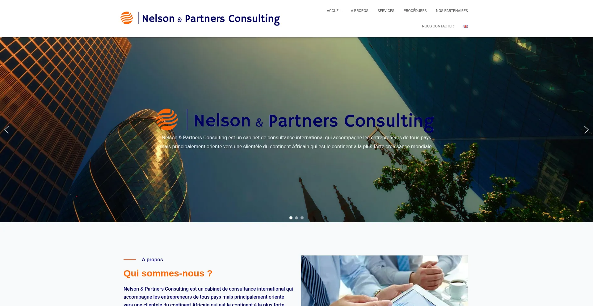 Website screenshot of Nelson-partners-consulting.com