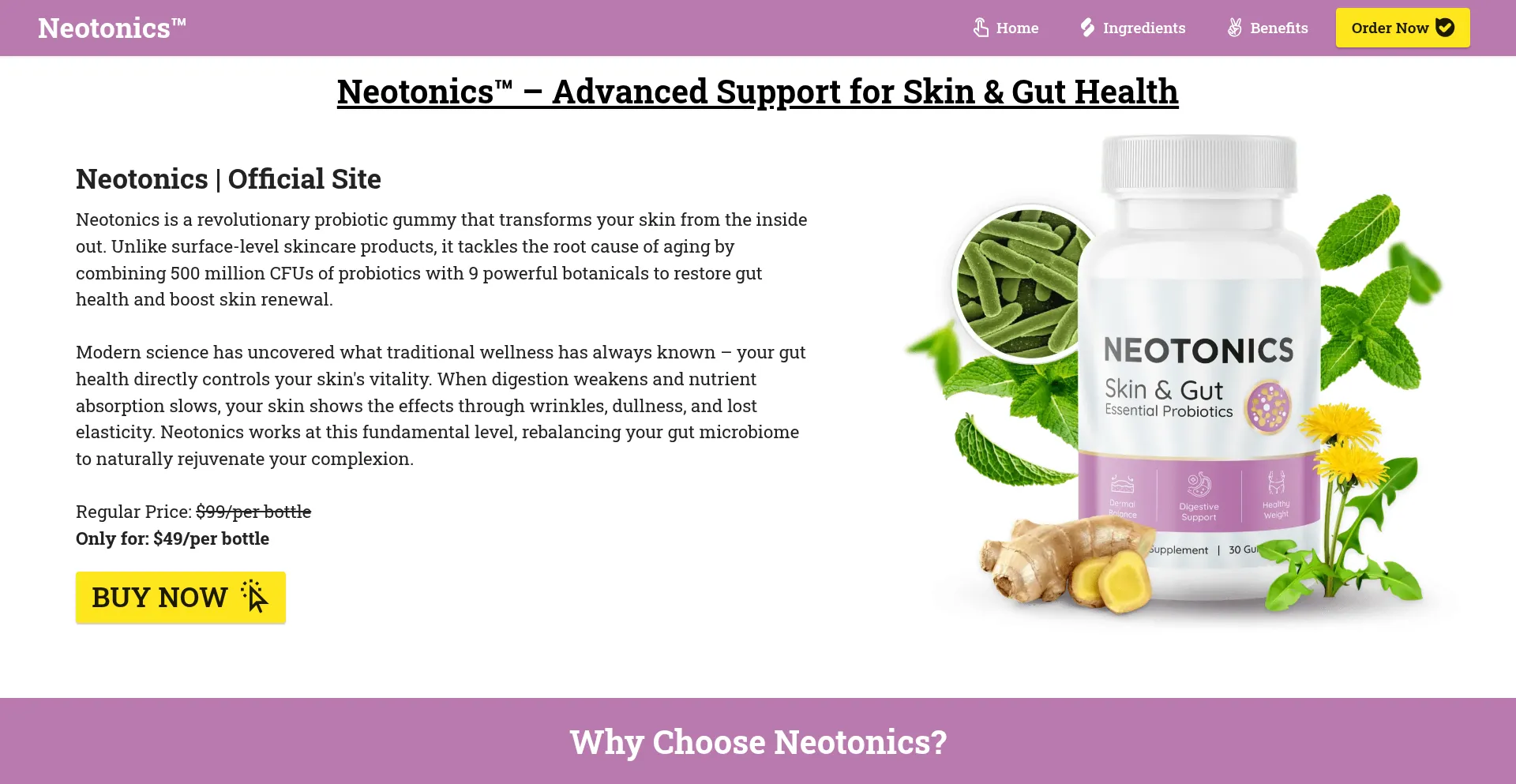 Website screenshot of Neottonics.com