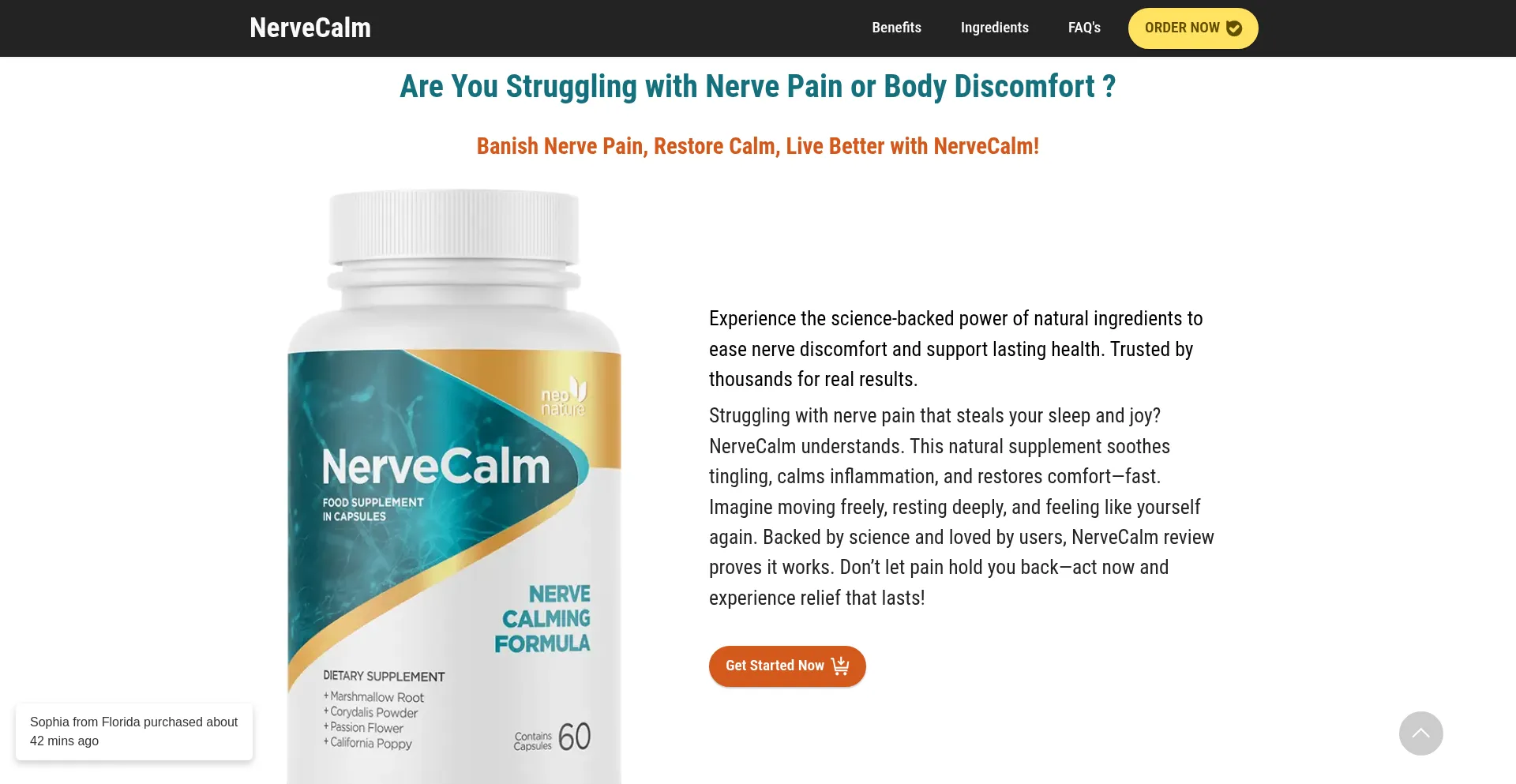 Website screenshot of Nervucalm.com