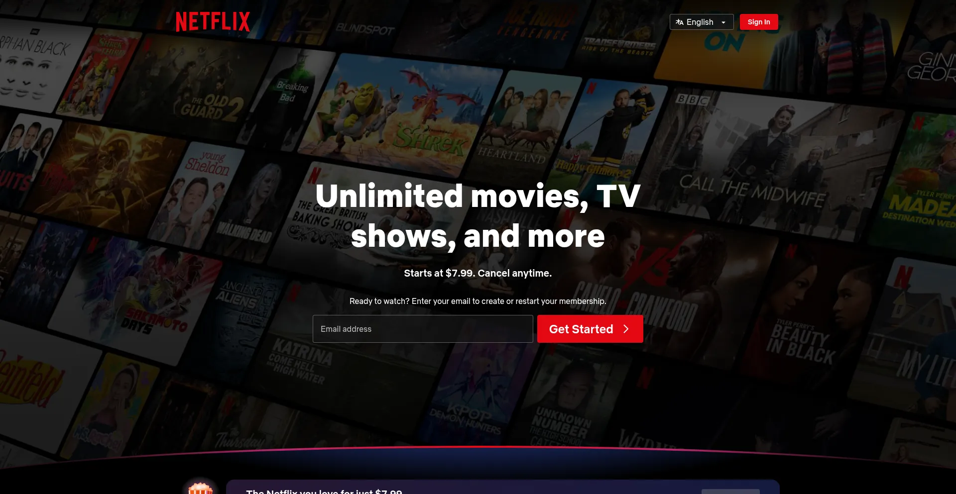 Nestflix.com Screenshot