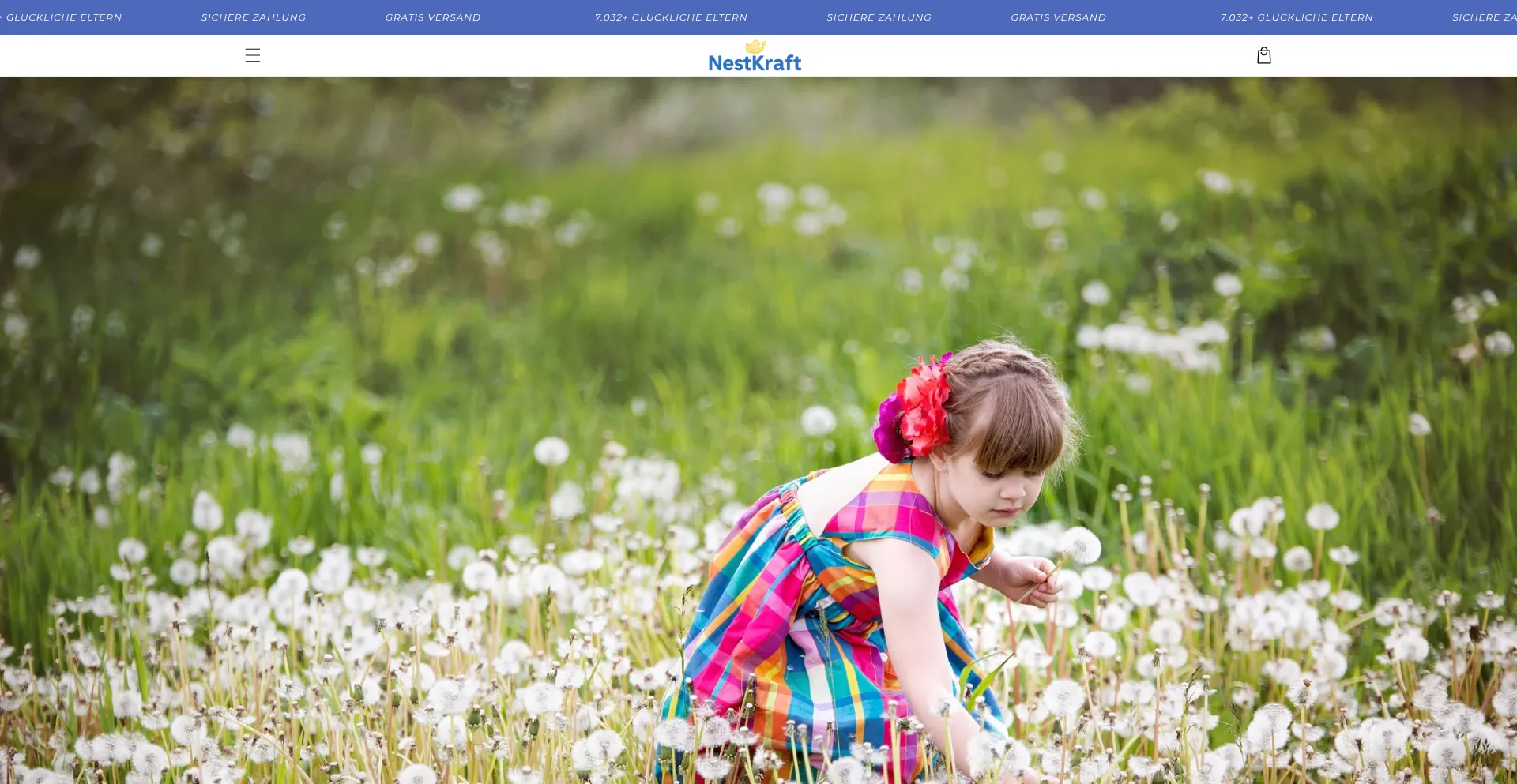 Website screenshot of Nestkraft.de