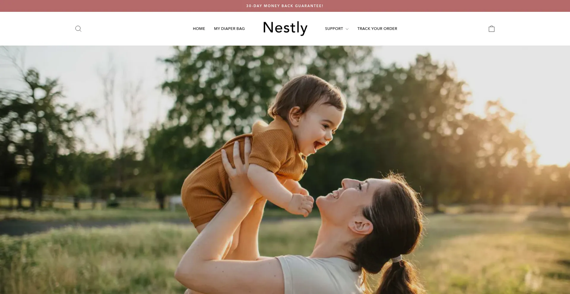 Website screenshot of Nestlyco.com