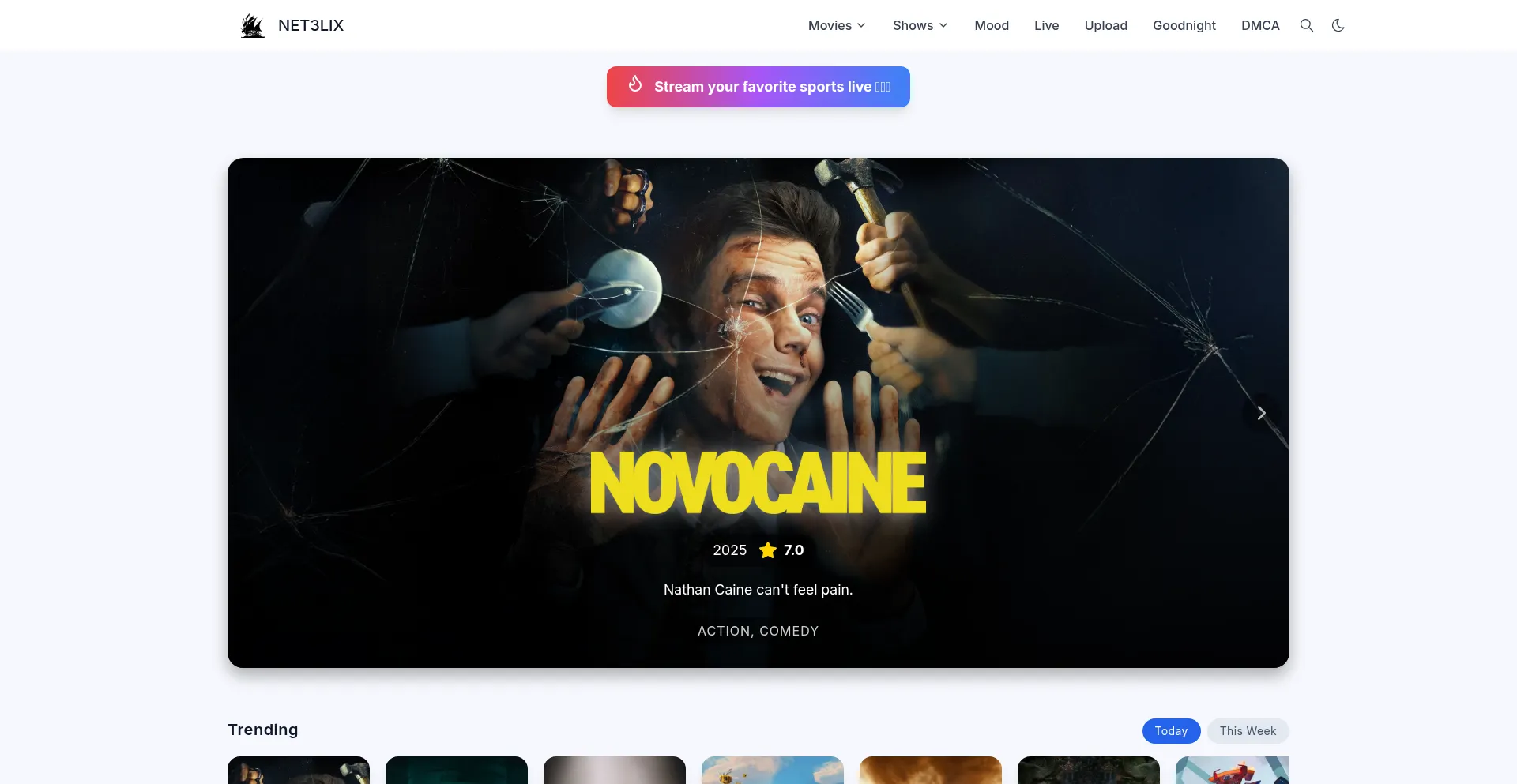 Website screenshot of Net3lix.world