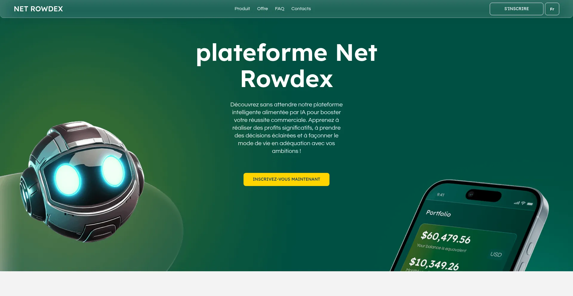 Net-rowdex.com Screenshot
