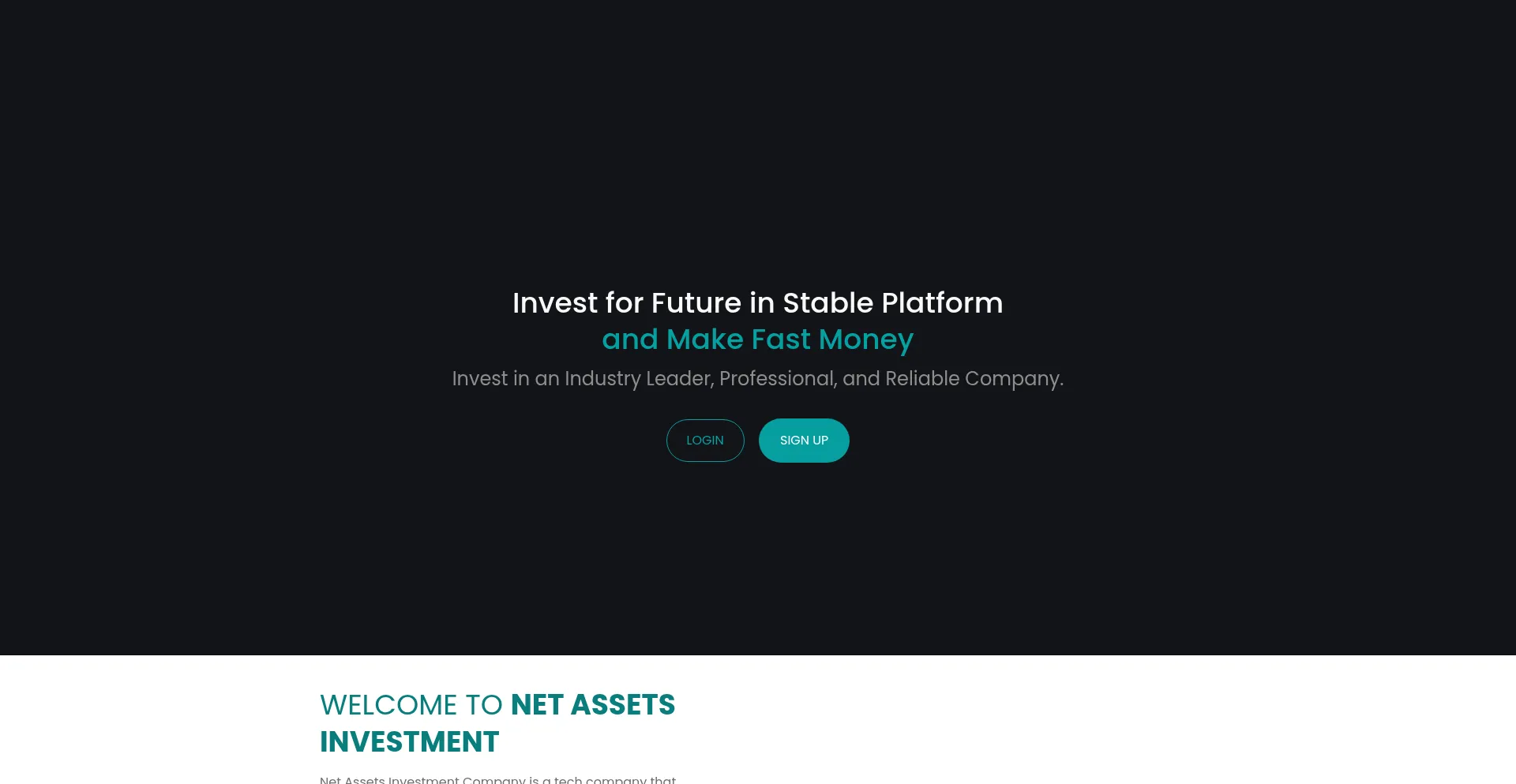 Website screenshot of Netassetsinvestment.com